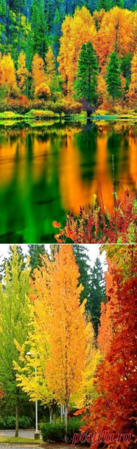 | Autumn