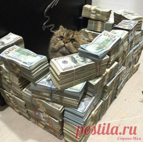 ПонИдельнишная солянка - Страна Мам