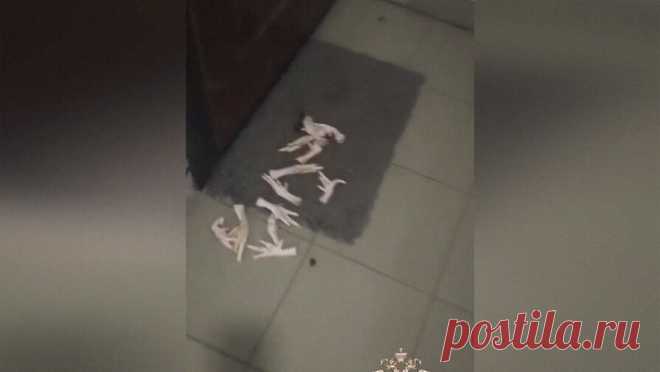 Нижегородца заподозрили в вымогательстве денег, угрозах и подбрасывании куриных лап. В Нижнем Новгороде мужчину задержали по подозрению в вымогательстве 5 млн рублей при помощи угроз и подбрасывания куриных лап. Об этом сообщает "МВД Медиа". По версии следствия, злоумышленник с сентября 2023 года угрожал ...
