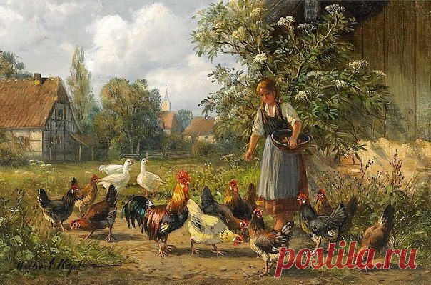 Птицеводство
