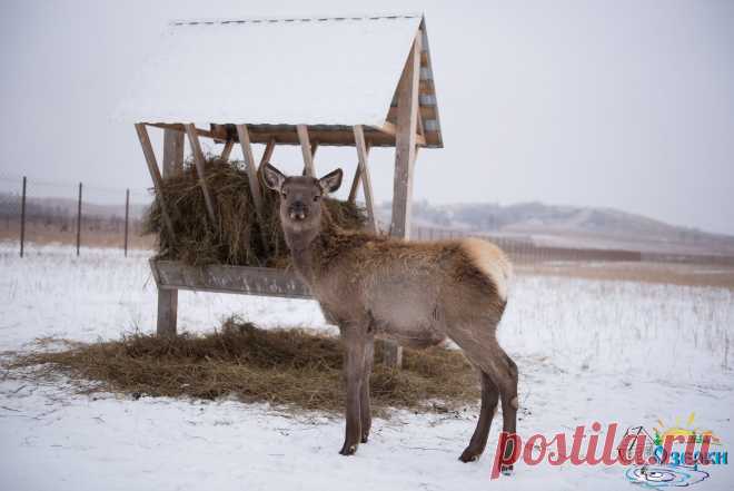 База отдыха - Фотогалерея