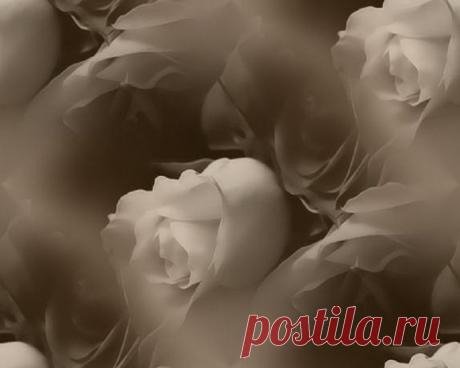 Приятного вечера!