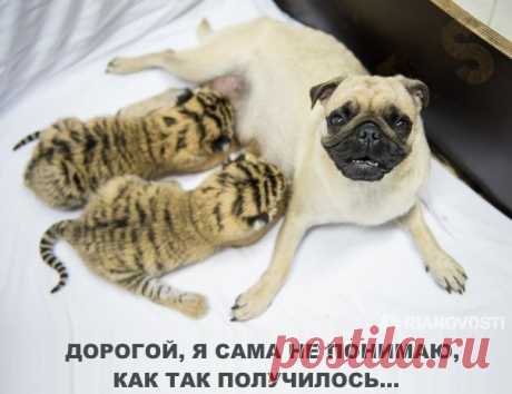 Новости