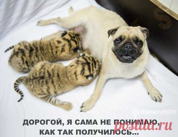 Новости