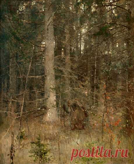 Шильдер Андрей Николаевич (1861 - 1919)
«Лесная глушь», 1915