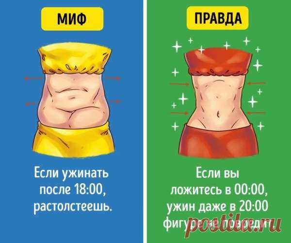 15 продуктов, которые вы можете есть сколько угодно и все равно не поправитесь — СОВЕТНИК