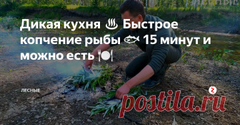 Дикая кухня ♨ Быстрое копчение рыбы 🐟 15 минут и можно есть 🍽 