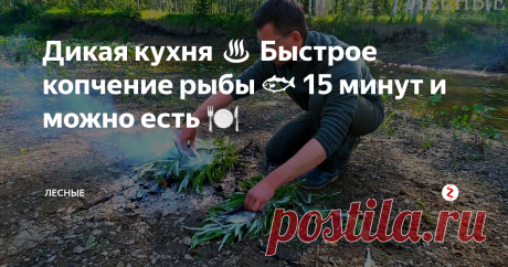 Дикая кухня ♨ Быстрое копчение рыбы 🐟 15 минут и можно есть 🍽 "Лесные" Abigne Ugnem
Ночёвка под открытым небом всегда связана с риском, мне ещё повезло, что это оказалась не цапля )).
Лесные" / FISH IN COALS / "Arhan L.S.X.".
Мы предпочитаем ночевать на галечных или песчаных отмелях рядом с рекой, так как здесь, значительно меньше насекомых чем в лесу.