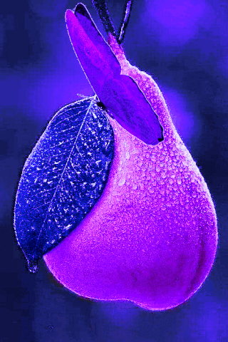 Вкусная груша