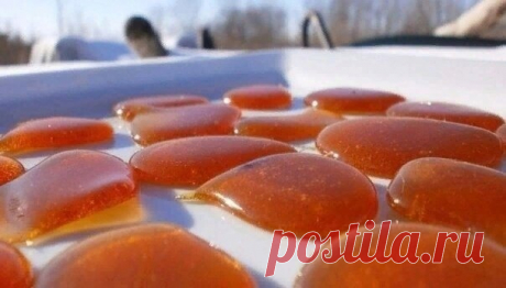 ЛЕПЁШКИ ОТ КАШЛЯ

При длительном и тяжелом кашле хорошо помогают различные лепешки от кашля. Они известны с далеких времен, но прибегают к ним очень редко. Лепешка абсолютно безвредна и отлично лечит заболевания органов дыхания, даже у грудных детей. Существуют несколько разновидностей медовых лепешек от кашля.

1. По одной ложки меда и соли смешивается, равномерно наносится на бинт или тряпочку и прикладывается на ночь на грудь. Утром протирают грудь влажной салфеткой, ка...