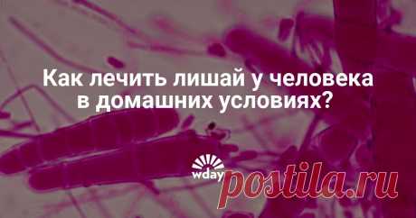 Как лечить лишай у человека в домашних условиях? Лишай у человека: лечение в домашних условиях, Читайте о методах лечения лишая у человека в нашей статье.