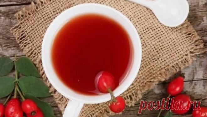 Ваша печень будет как новая: пьем шиповник так, и быстро выводим из нее все шлаки