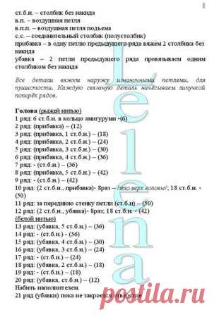 енот-повязун