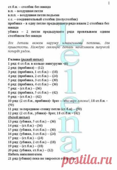 енот-повязун
