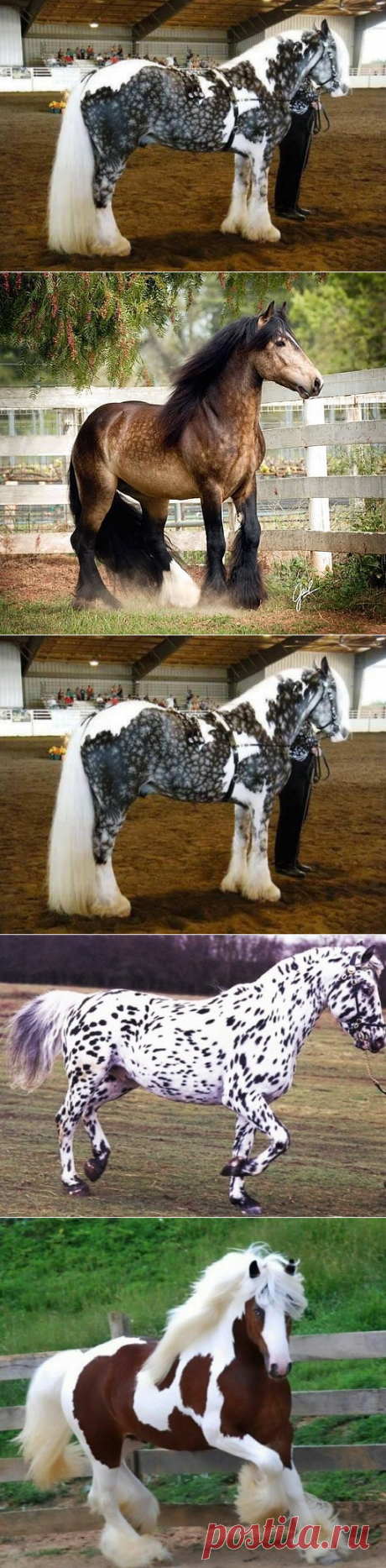 (65) Одноклассники