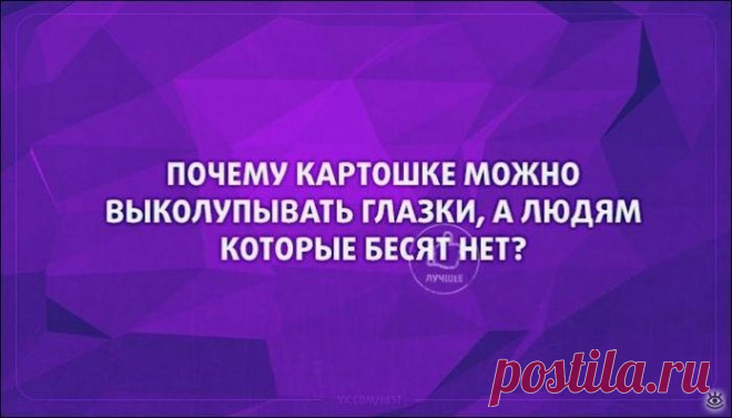 Весёлые мысли в открытках, 19 смешных фото приколов