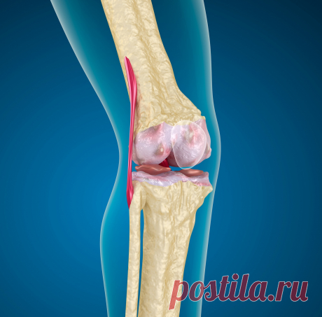 Эндопротезы колена компании Smith&amp;Nephew