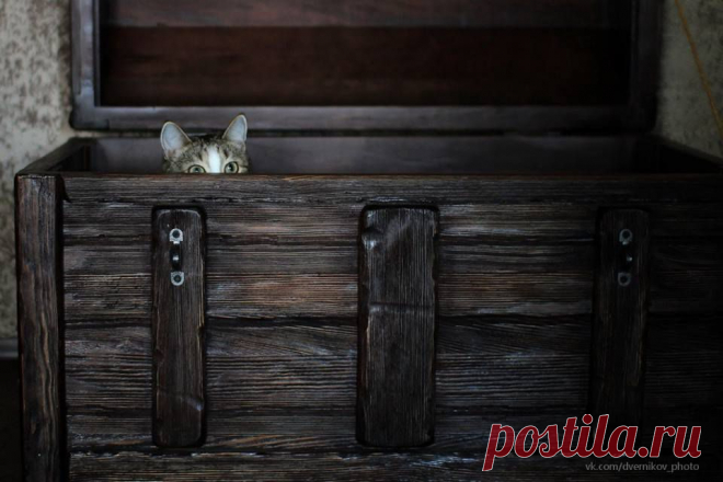 (16) Facebook
«Истории старого сундука». Фотограф: Александр Дверников.

А как бы вы назвали это фото?