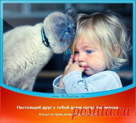 Позитивчики Недели (смотреть фото)