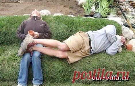 Как сделать на даче диван из дерна