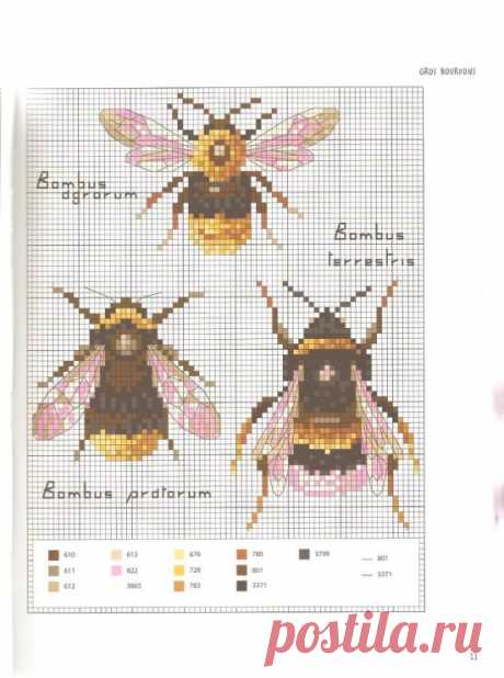 (640) Пин от пользователя Kanarin Einarsdotter на доске cross stitch garden
