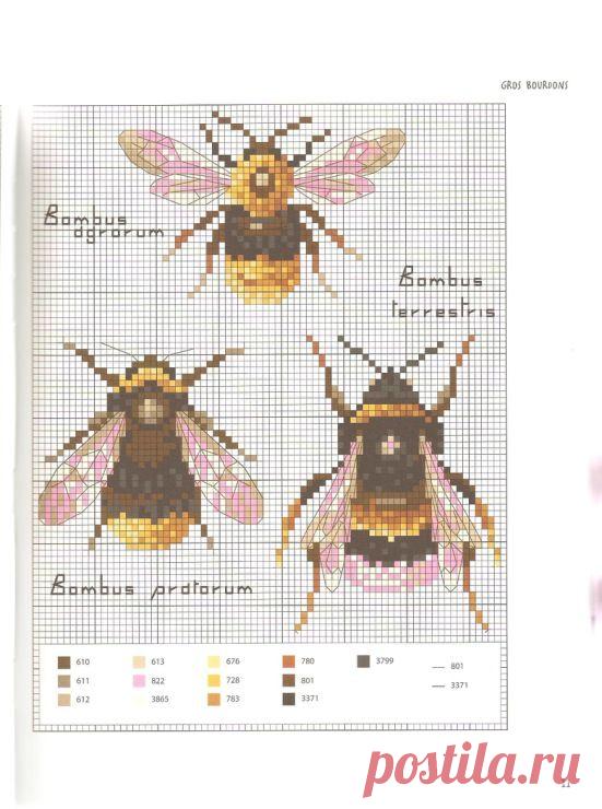 (640) Пин от пользователя Kanarin Einarsdotter на доске cross stitch garden