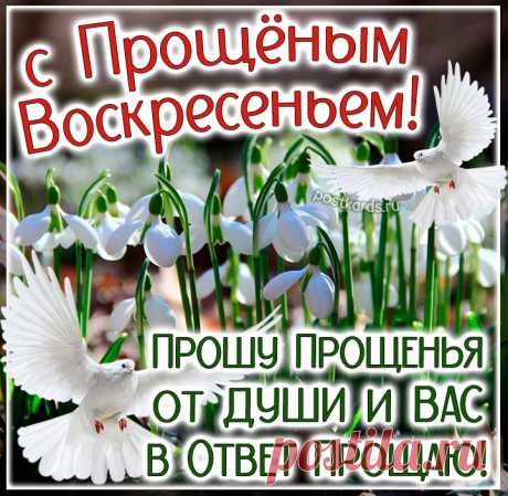 Я прошу прощенья у тебя за все проступки, которые тебя обидели или разочаровали. Тебе же дарю свое прощенье. анимация прощенное воскресенье открытки