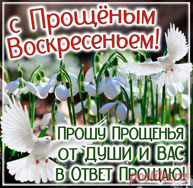 Я прошу прощенья у тебя за все проступки, которые тебя обидели или разочаровали. Тебе же дарю свое прощенье. анимация прощенное воскресенье открытки