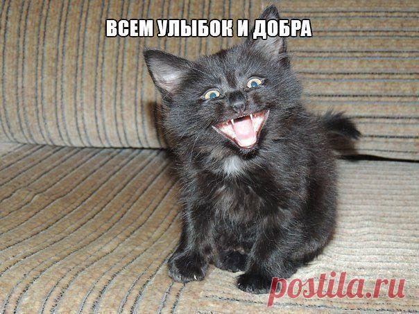 ❃ ❃ ❃...ЖИЗНЬ ХОРОША, иɯʎdʞ ин ʞɐʞ...❃ ❃ ❃