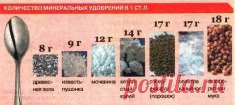 Полезные советы В Кругу Друзей — социальная сеть