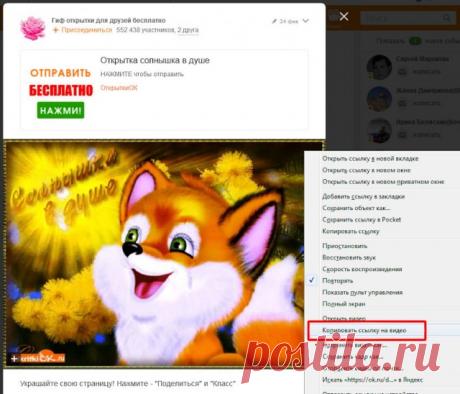 Как скачать гифку с Одноклассников и BK?