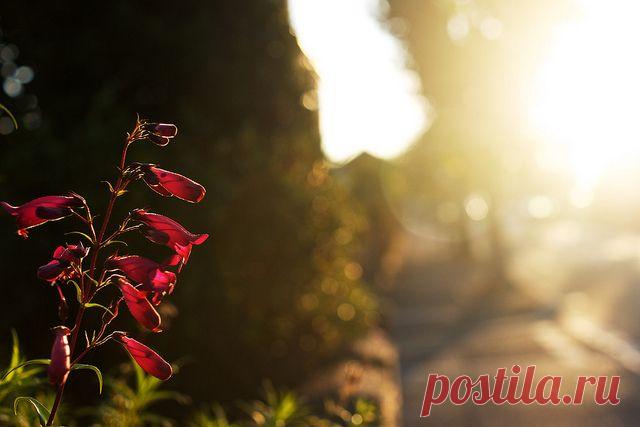 20 самых вдохновляющих способов начать свой день