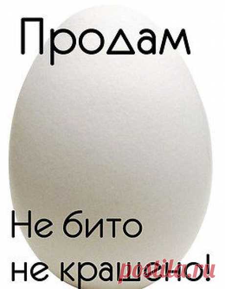 Интеллектуальный юмор