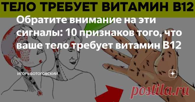 Обратите внимание на эти сигналы: 10 признаков того, что ваше тело требует витамин В12 Статья автора «Игорь Ботоговский» в Дзене ✍: Витамин В12 — это важный витамин, который играет ключевую роль в синтезе ДНК и производстве красных кровяных телец.