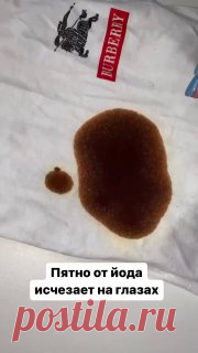 ЯжеХозяйка
