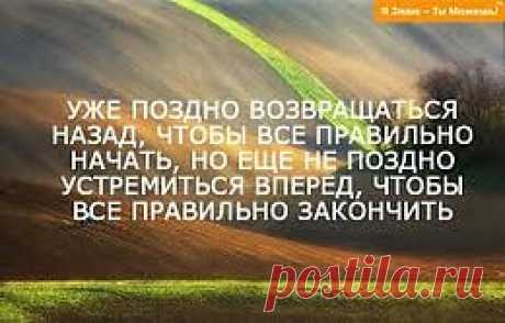 интересные фразы