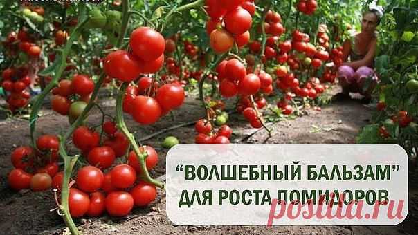 ПУХОВАЯ ЯРМАРКА.
Надежда пух - изделия
