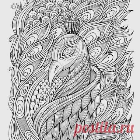 Decorative abstract ornamental peacock background. Vector illustration 123RF - Миллионы стоковых фото, векторов, видео и музыки для Ваших проектов.