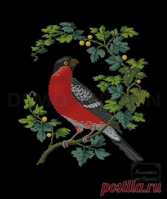 (6) Gallery.ru / Фото #1 - Снегирь - larisa-bnw