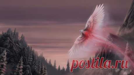 Обои крылья, oliverford, Snow phoenix, птица, art, снежный феникс, fantasy на рабочий стол 60547