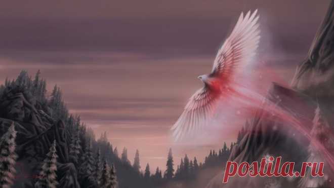 Обои крылья, oliverford, Snow phoenix, птица, art, снежный феникс, fantasy на рабочий стол 60547