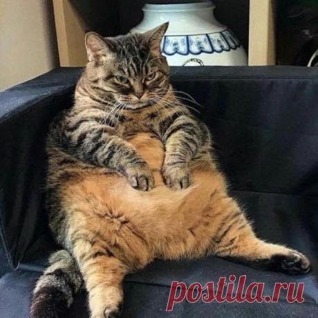 Наконец-то ты вернулся)))
