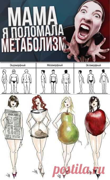 Мама, я поломала Метаболизм! | Блог Ярослава Брина
