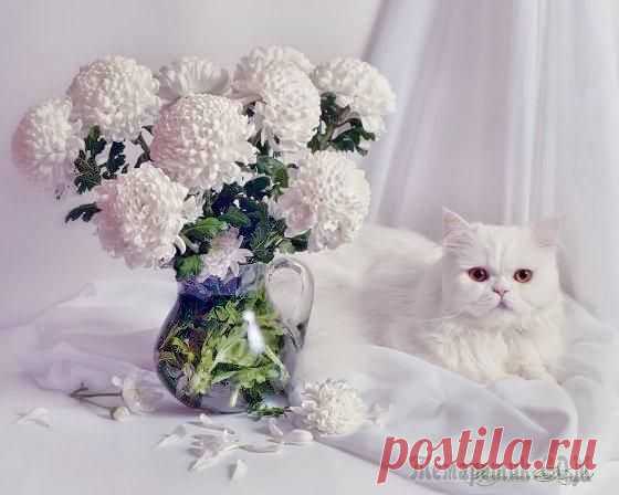 ПЯТНИЦА НАСТУПИЛА