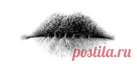 Тест по картинке расскажет, интроверт вы или экстраверт
Здравствуйте Уважаемые подписчики и гости канала. Для Вас мы приготовили еще один интересный психологический тест по картинкам. Он поможет вам услышать сигналы, которые посылает собственное подсознание. В зависимости от того, что вы увидите на изображении, этот тест расскажет о скрытых чертах вашего характера. Если вы хотите разобраться в себе, следующий психологический эксперимент – то, что […]
Читай дальше на сайте. Жми подробнее ➡