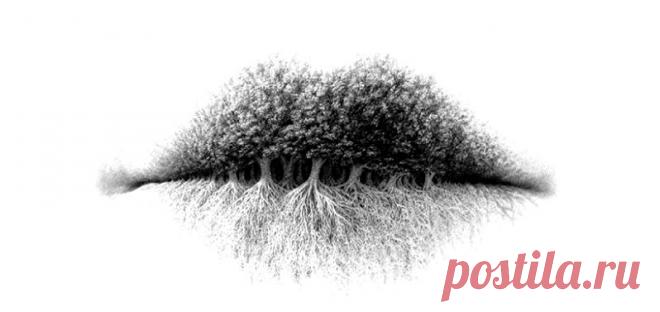 Тест по картинке расскажет, интроверт вы или экстраверт
Здравствуйте Уважаемые подписчики и гости канала. Для Вас мы приготовили еще один интересный психологический тест по картинкам. Он поможет вам услышать сигналы, которые посылает собственное подсознание. В зависимости от того, что вы увидите на изображении, этот тест расскажет о скрытых чертах вашего характера. Если вы хотите разобраться в себе, следующий психологический эксперимент – то, что […]
Читай дальше на сайте. Жми подробнее ➡