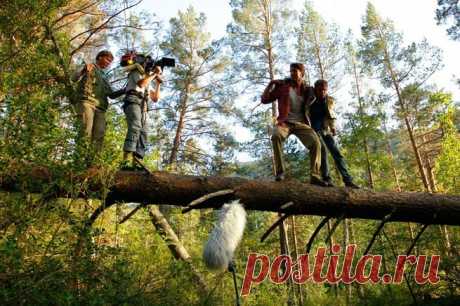 Пока цветет папоротник (2012)