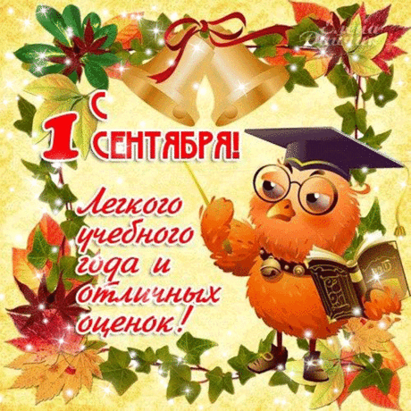 Желаю знаний самых знатных,
Чтобы учиться было вам приятно.
Я с 1 сентябрем вас поздравляю,
Успехов, радости от всей души желаю!