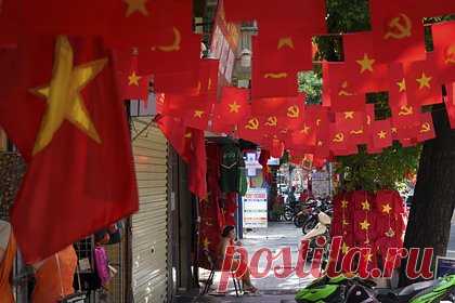 Нашествие ядовитых жуков в популярной у россиян курортной стране опровергли