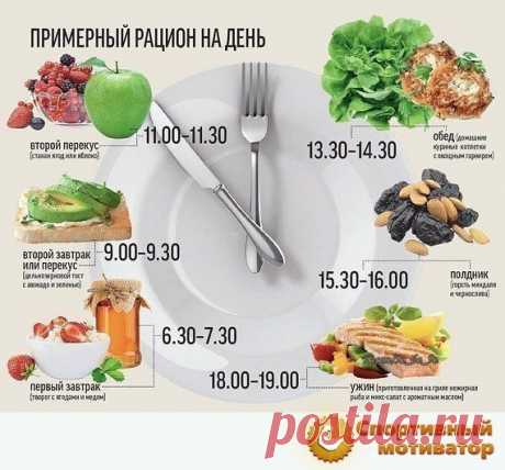 Как долго перевариваются продукты : таблица-помощница для худеющих | food | Продукты, Гантели и Спортзал